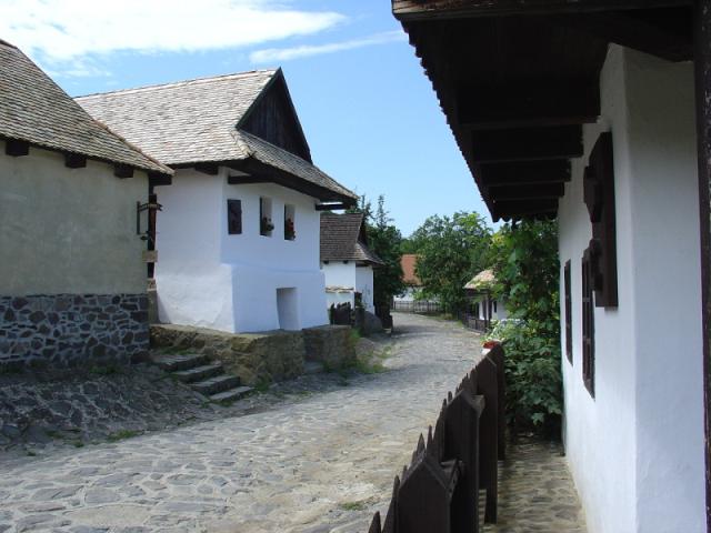 DSC02490.JPG