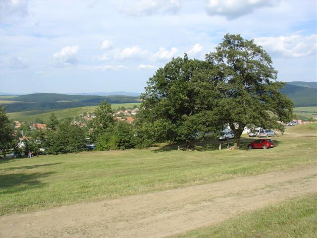 DSC02560.JPG