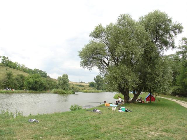 DSC02806.JPG