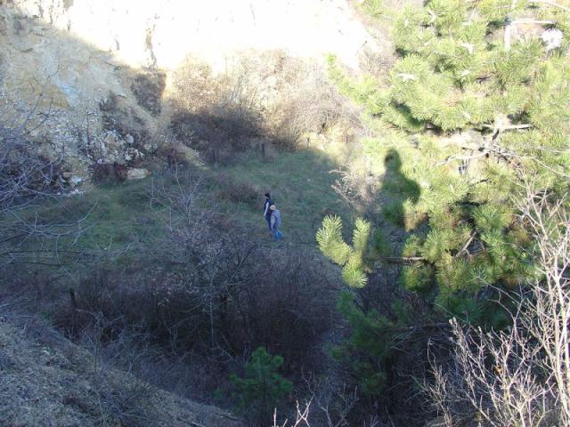 DSC03542.JPG