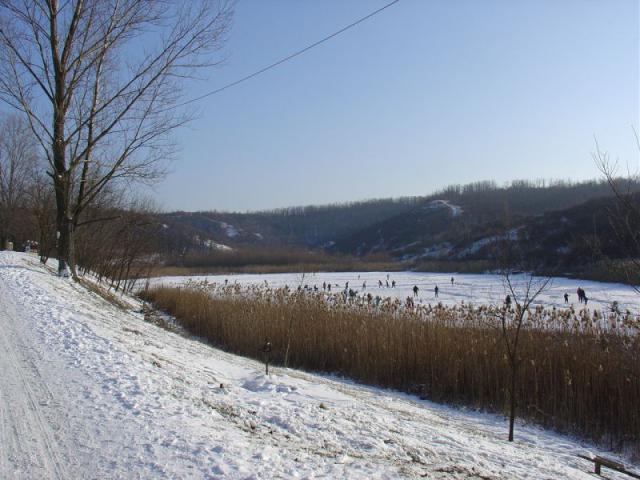 DSC03735.JPG