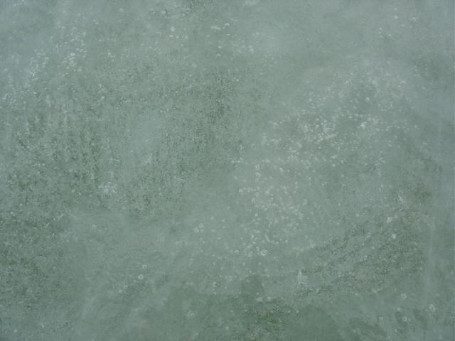DSC03881.JPG