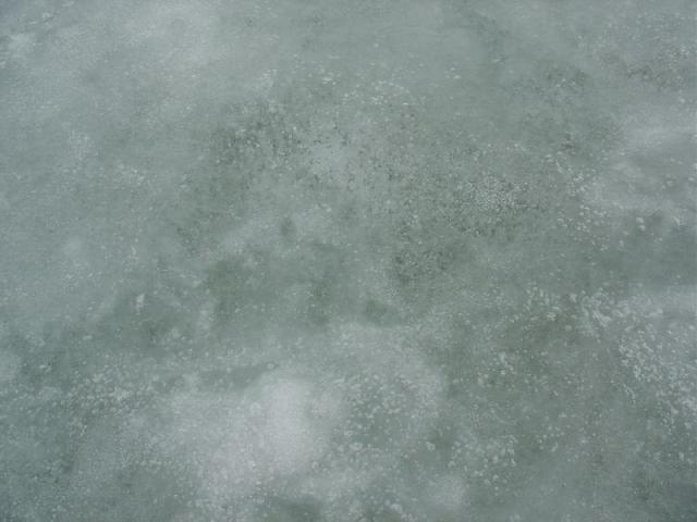 DSC03882.JPG