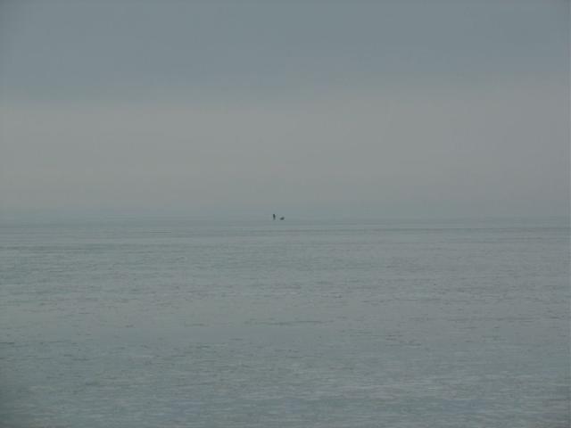 DSC03884.JPG