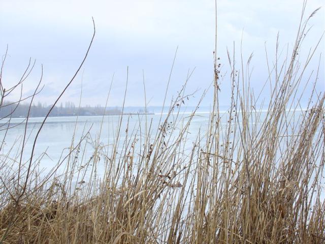 DSC03893.JPG