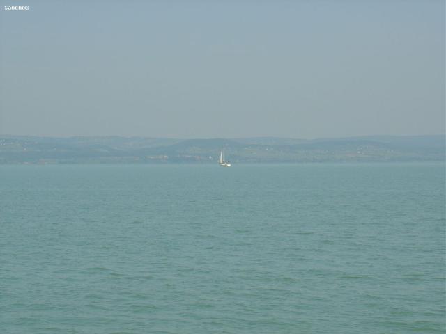 DSC04950.JPG