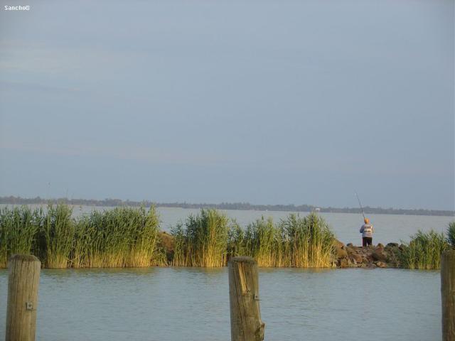 DSC05070.JPG