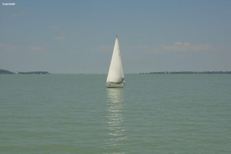 DSC05229.JPG