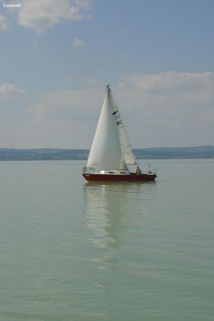 DSC05239.JPG