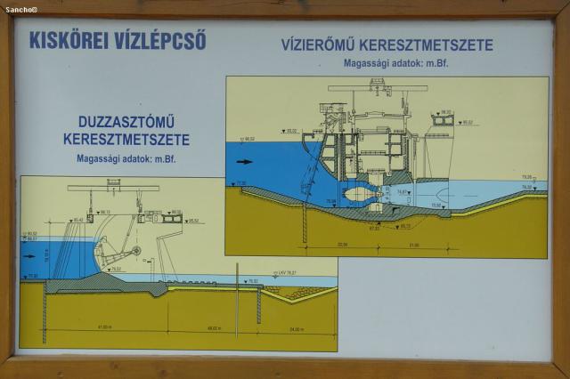 DSC05556.JPG