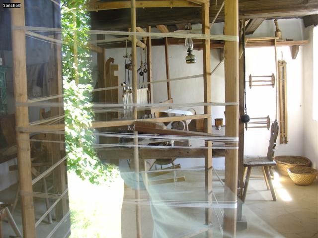 DSC06985.JPG