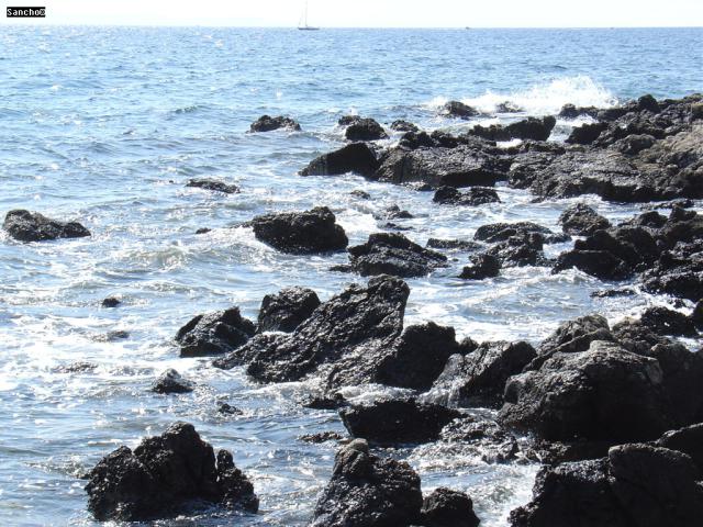 DSC07334.JPG