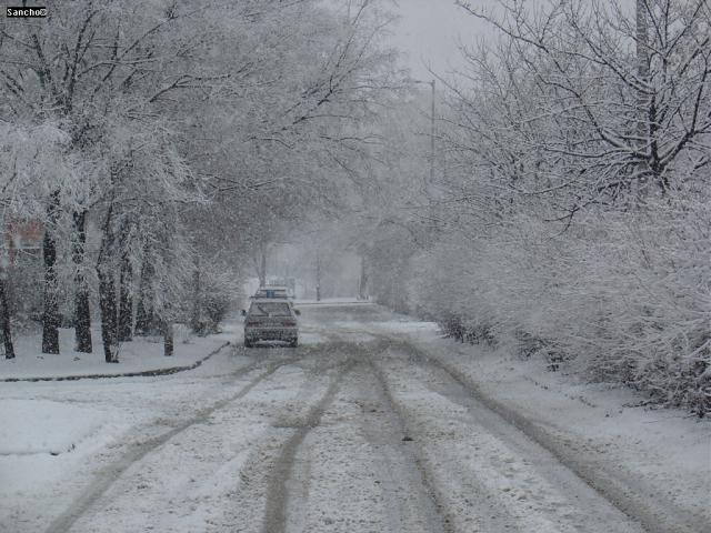 DSC09327.JPG