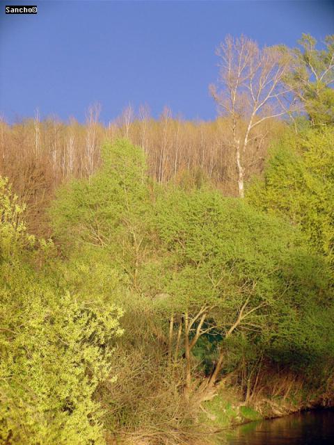 DSC00097.JPG