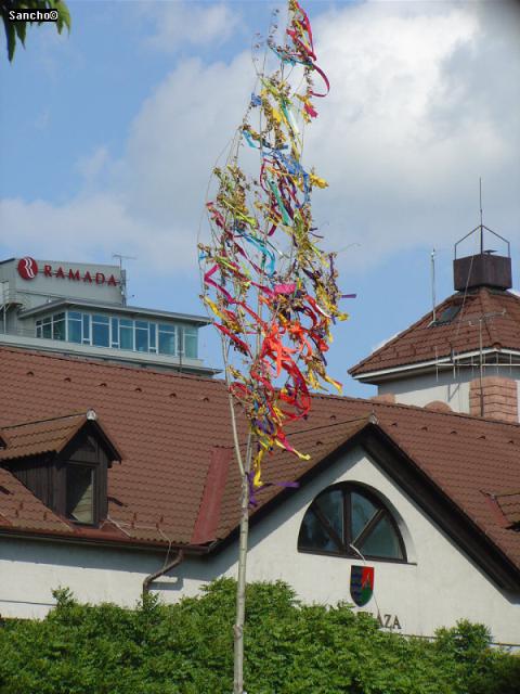 DSC01104.JPG
