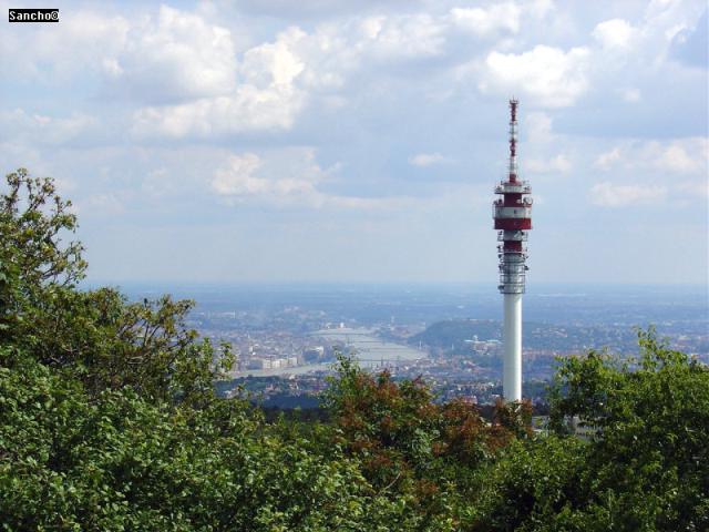 DSC01142.JPG