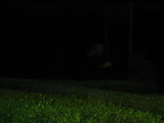 kép 014.jpg