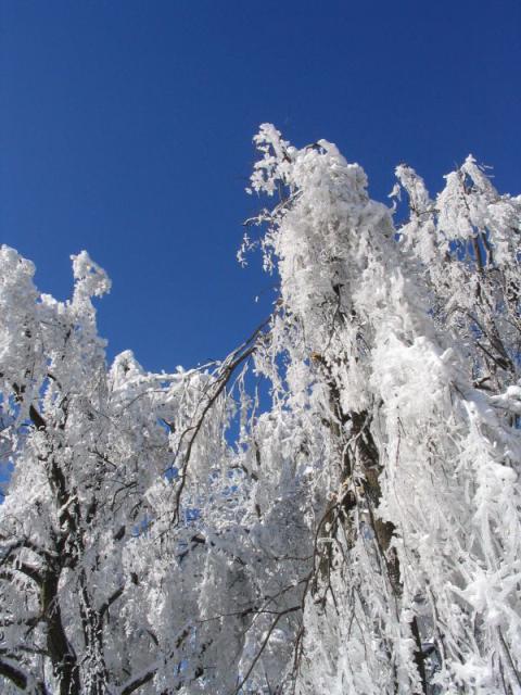 kép 003.jpg