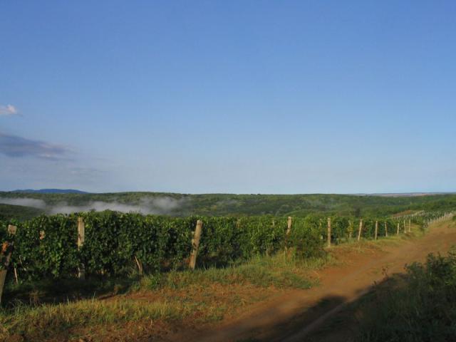 kép 008.jpg