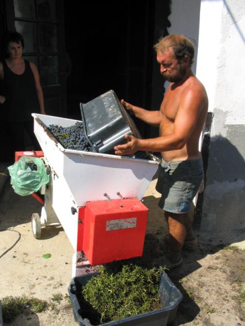 kép 020.jpg
