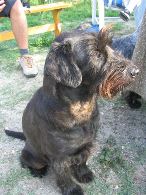 kép 105.jpg