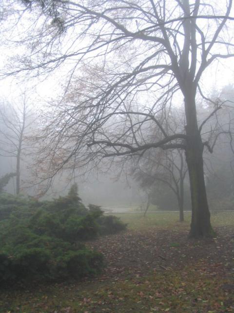 kép 005.jpg