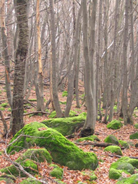 kép 027.jpg