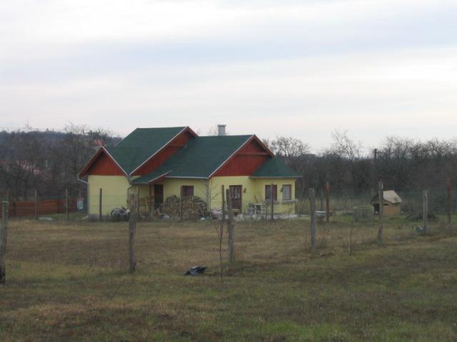 kép 007.jpg