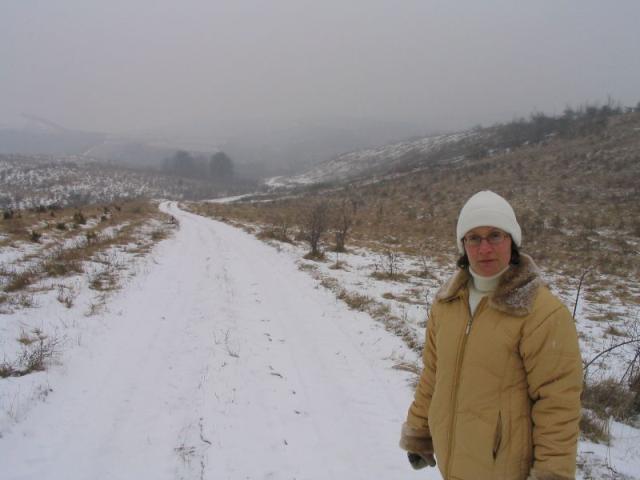 kép 129.jpg