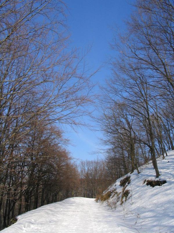 kép 041.jpg