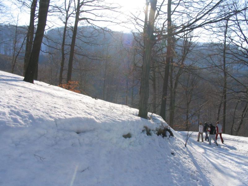 kép 044.jpg