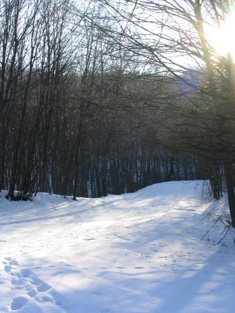 kép 045.jpg