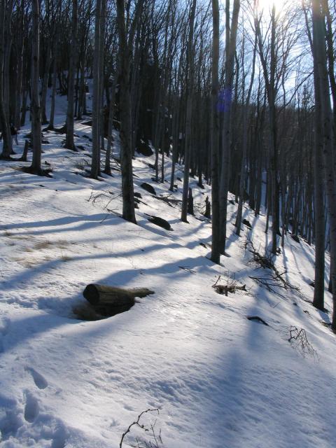 kép 033.jpg