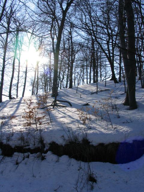 kép 034.jpg