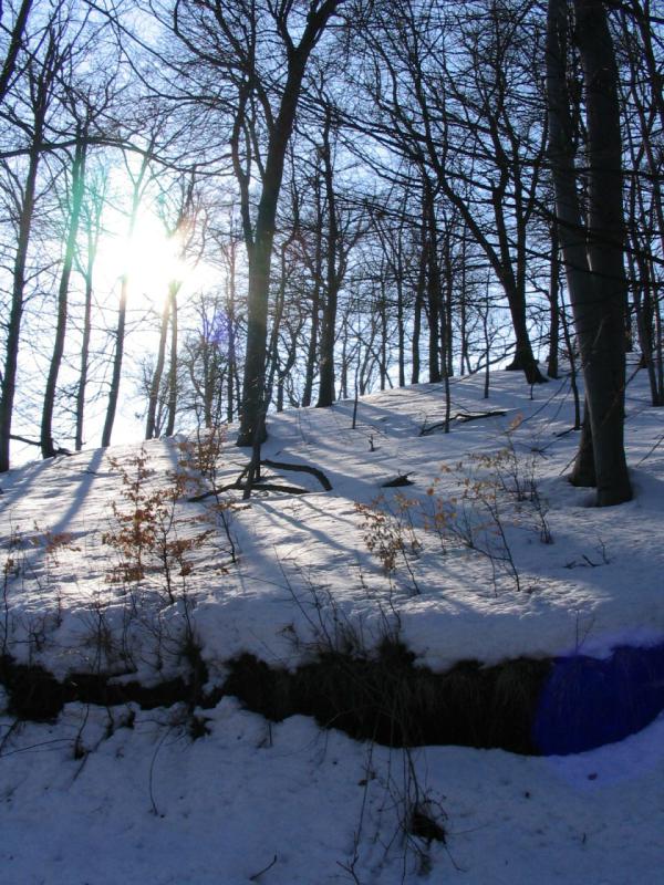 kép 034.jpg
