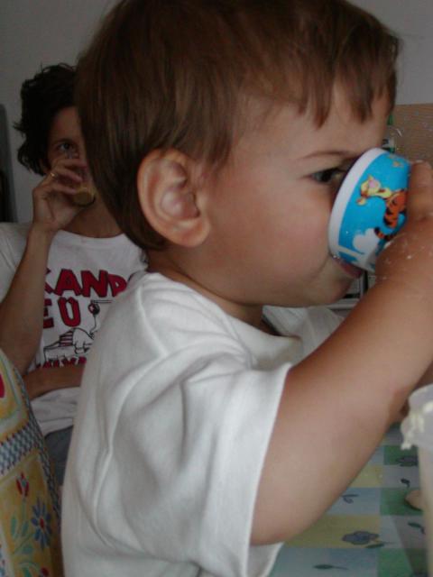 ivo