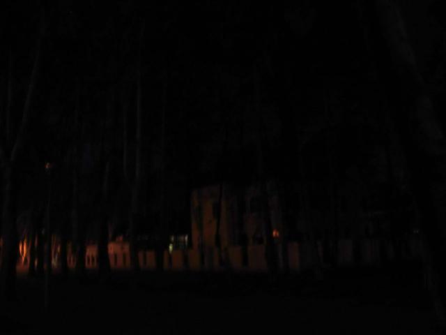 IMG 00010