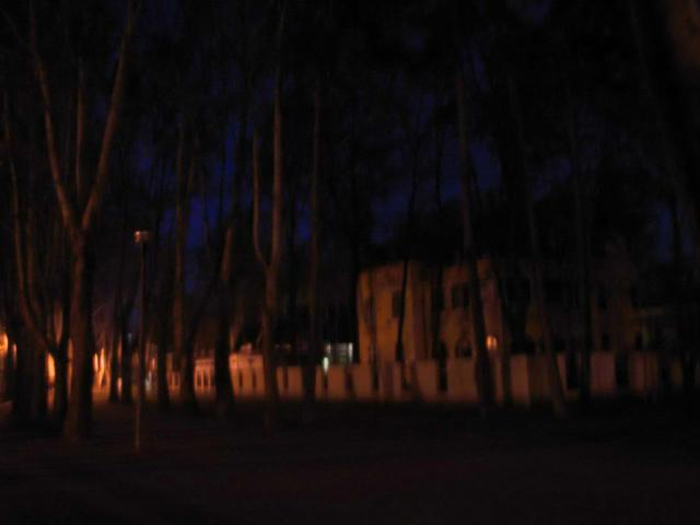 IMG 00011