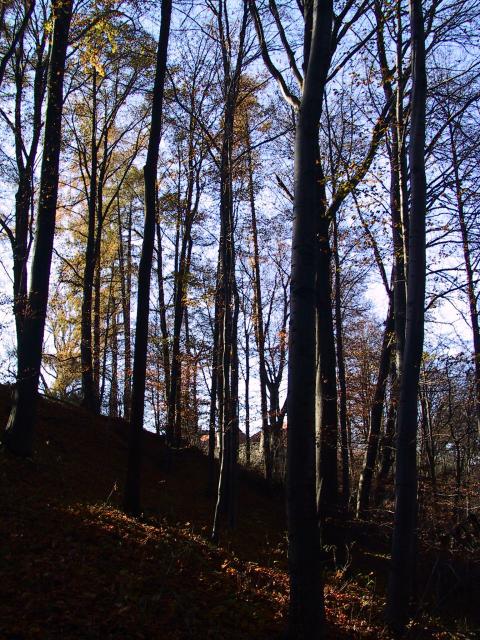 IMG_0035.JPG