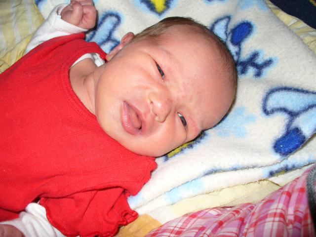 P1000020.JPG