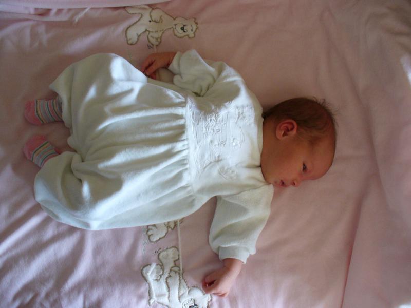 P1000049.JPG