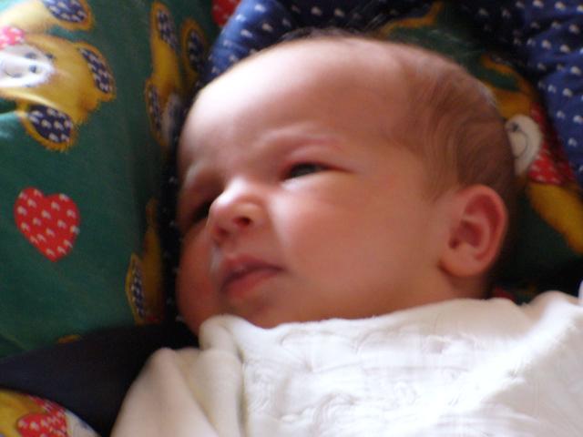 P1000056.JPG