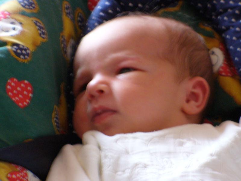 P1000056.JPG