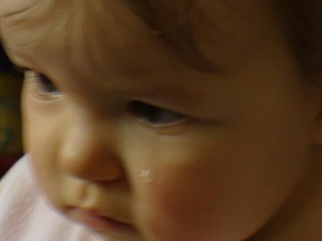 P1010331.JPG