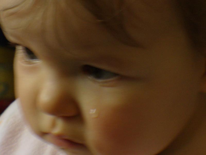 P1010331.JPG