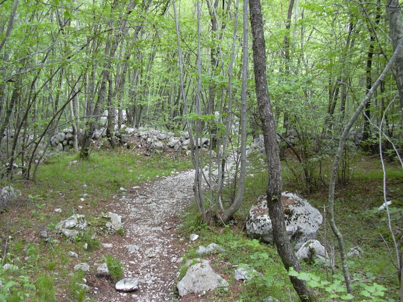 DSCN1388.JPG