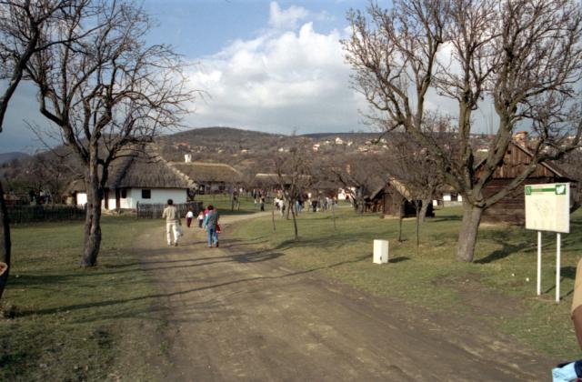 s_File0049 copy.jpg