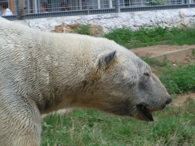 PICT0006.jpg