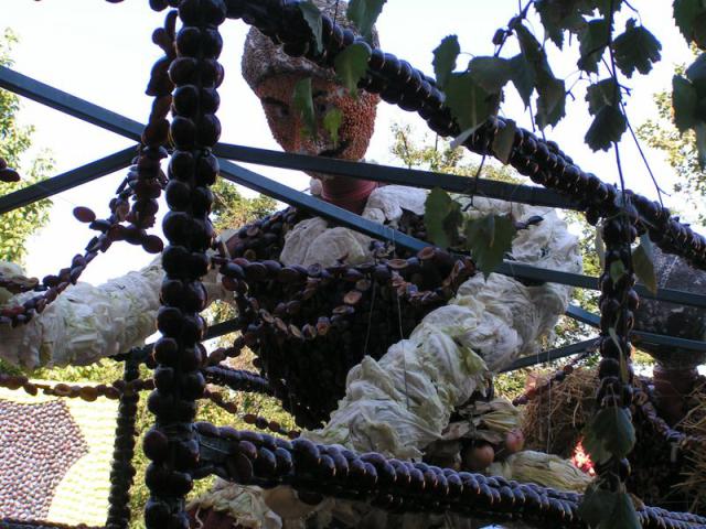 PICT0554.jpg