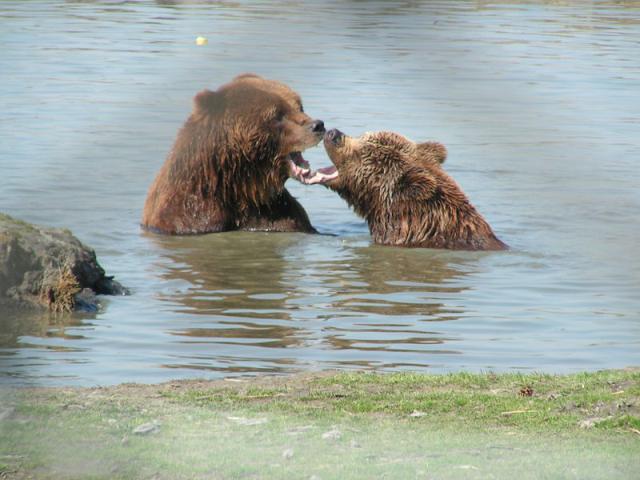 PICT0850.jpg